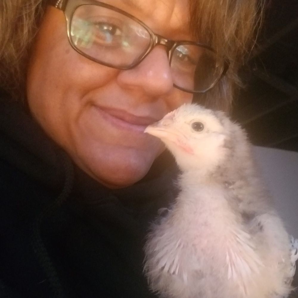 Meet your Posher, Angela